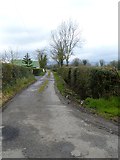 N4205 : Country road at Cloncannon Upper by Oliver Dixon