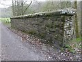 Cut Mark: Strowan, Railway Tunnel Parapet