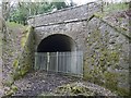 Tunnel portal at Strowan