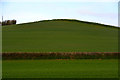 ST0142 : West Somerset : Grassy Field by Lewis Clarke