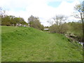 Looking northwards beside the River Mole