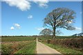 Lane at Lopthorne