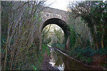 ST0341 : West Somerset : Black Monkey Bridge by Lewis Clarke