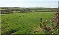 Field and view above Forda