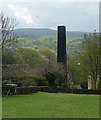 Field, Embsay