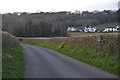 West Somerset : Country Lane