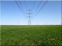 SE9139 : Power  lines  over  Sancton  Wold by Martin Dawes