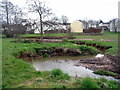 Brook meander