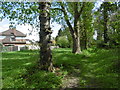 Green next to the River Pinn