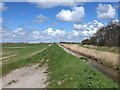 Drainage ditch alongside New Causeway, Great Altcar