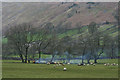 Pasture in Littondale