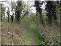 Footpath to Sandy Lane