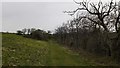 South Downs Way near Warren Hill