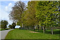 Trees beside sports ground near Tidworth