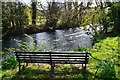 Bench by the River Avon at Upavon