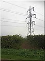 Pylon Ulceby Carr