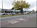 Tree in front of retail outlets on Gatwick Road