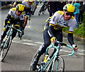 Team Lotto competing in Le Tour De Yorkshire