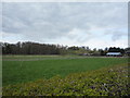 Farmland towards Bayfordbury Park Farm