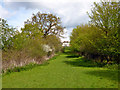 Path towards Breach Barns Farm