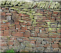 Stone wall near Cononley