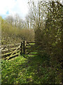 TM1760 : Footpath to the B1077 Chapel Hill by Geographer