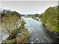 SO2242 : Hay-on-Wye, River Wye by David Dixon