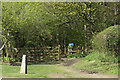 The South End of the old path from Hastoe to West Leith