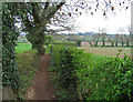 Footpath towards Car Holt Farm