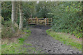 SU9860 : Path to Coxhill by Alan Hunt