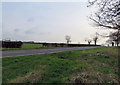 Thorpe Satchville Road towards Thorpe Satchville