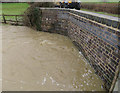 River Gwash goes under Brooke Road downstream side