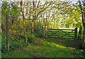 Footpath and gate