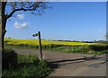 Public footpath and track