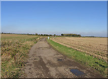 TL1788 : Track from Caldecote Dyke Farm by Andrew Tatlow