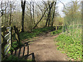 Footpaths cross on the edge of Dog Wood