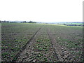 TL2617 : Tracks in a crop field by JThomas