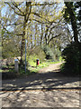 Green Lane Byway to Wheathampstead Road