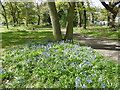 Bluebells alongside Bostall Hill