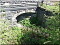 Footpath, River Aire, Calverley, Leeds