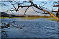 Localised flooding, Wharfedale