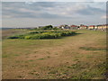 Grassy area adjacent to North Sands