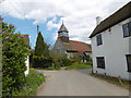 The centre of Stodmarsh