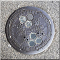 O1434 : Coal hole cover, Dublin by Mr Don't Waste Money Buying Geograph Images On eBay