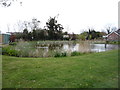 Village Pond, Upton