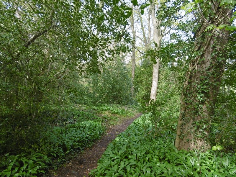 Path, Fairmilehead Park © Richard Webb :: Geograph Britain and Ireland