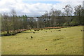 NN5601 : View over field towards Lake of Menteith by Richard Sutcliffe