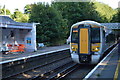 Canterbury train at Shepherds Well