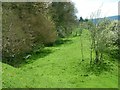 Bed of the Leominster Canal near Knighton-on-Teme