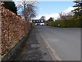 Nichols Way - viewed from Fledborough Road